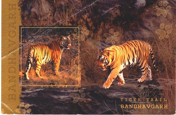 Tiger Trail Bandhavgarh