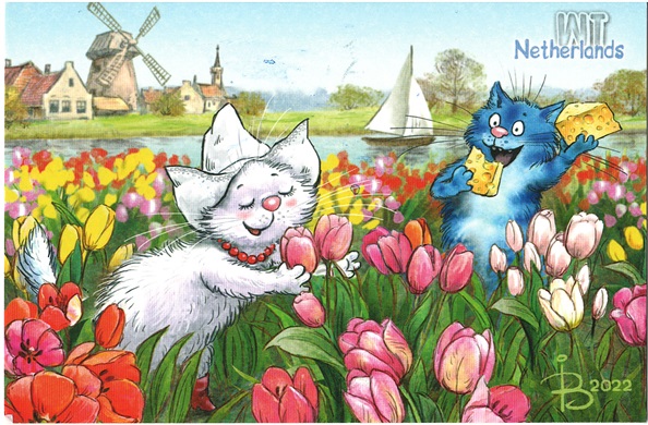 Spring Owers And Cheese Blue Cat World Trip WT