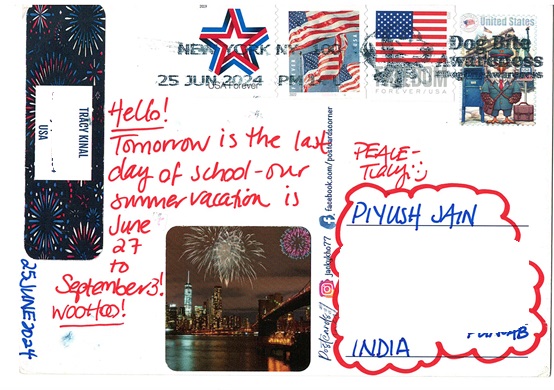 USA Wonder Post Postcard