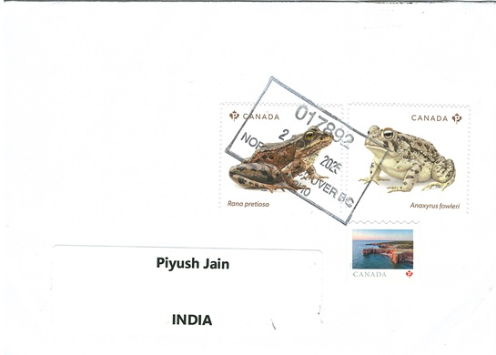 Endangered Frogs Rana pretiosa Anaxyrus Fowleri