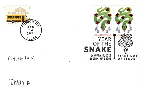 Year of the Snake 2025