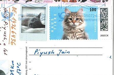 Blue Cat Series Postcards Dating Rina Zeniuk