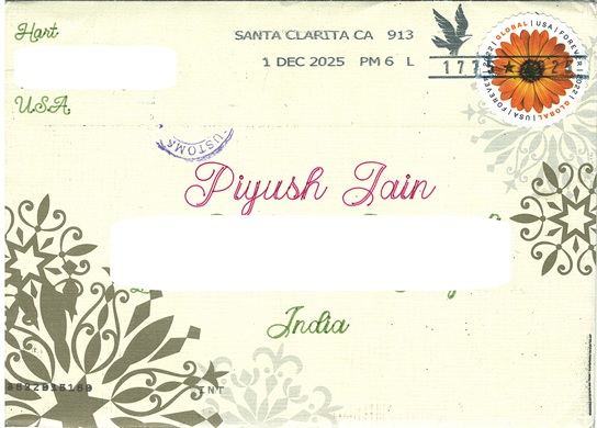 Flowers - African Daisy