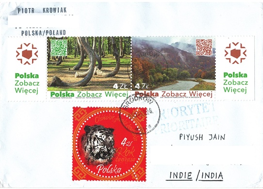Chinese New Year - Year of the Tiger 2022
